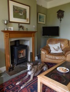 Manor House Woodburning stove fitters